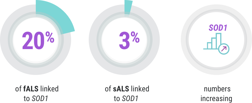 Infographic showing percentage of ALS cases linked to SOD1 mutation